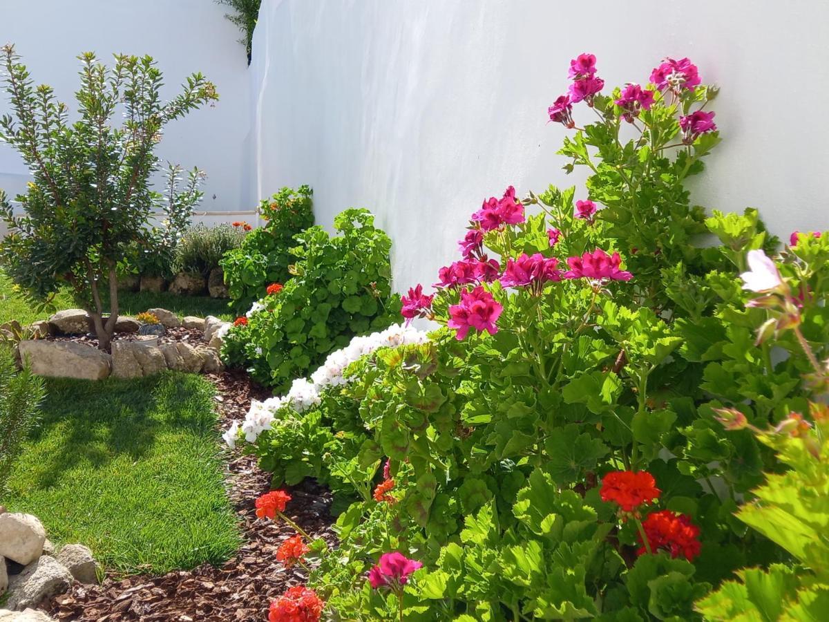 Pateo Dos Oliveira - Casa Dos Senhores Évora Buitenkant foto